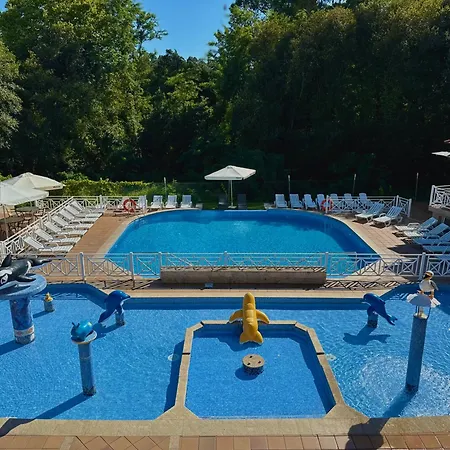 Sun Galicia Y サンシェンショ